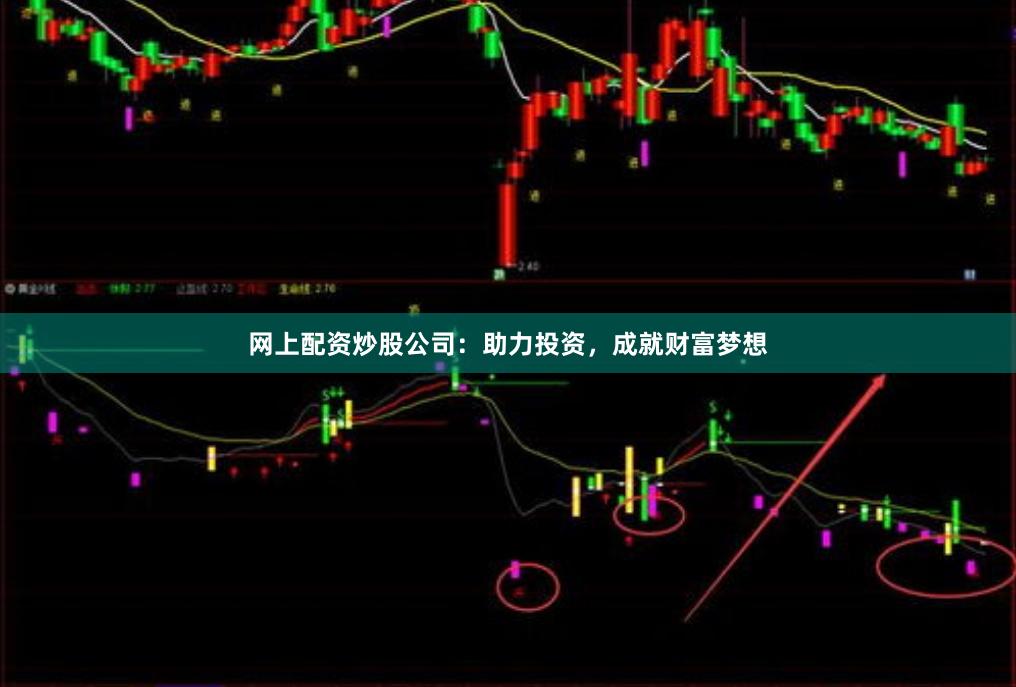 网上配资炒股公司：助力投资，成就财富梦想