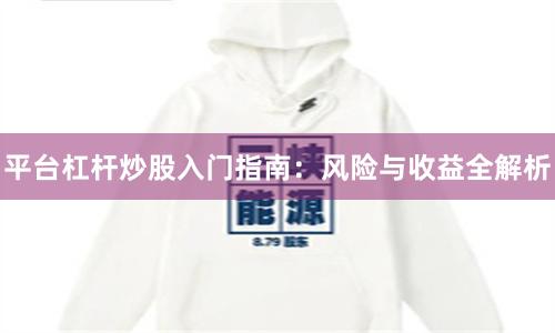 平台杠杆炒股入门指南：风险与收益全解析